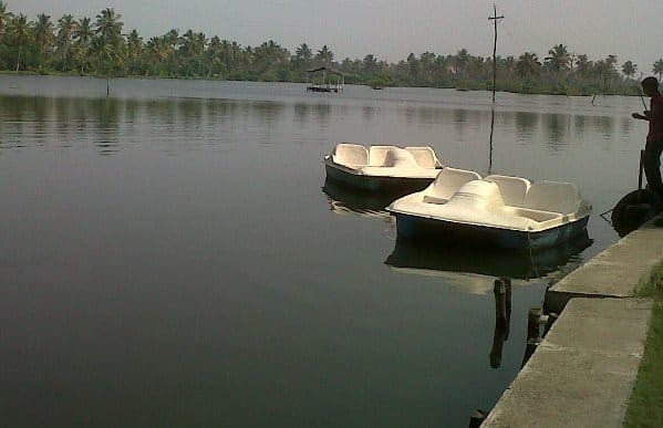 Boating at Njarakkal Backwaters