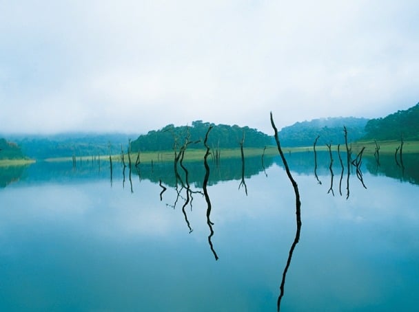 Thekkkady, Periyar Wildlife Sanctuary