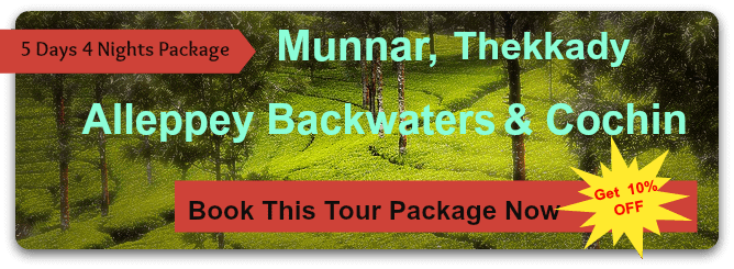 5 Days 4 Nights Munnar Alleppey Backwaters Package