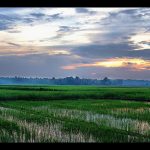 17 Picturesque Village Photos from Kerala