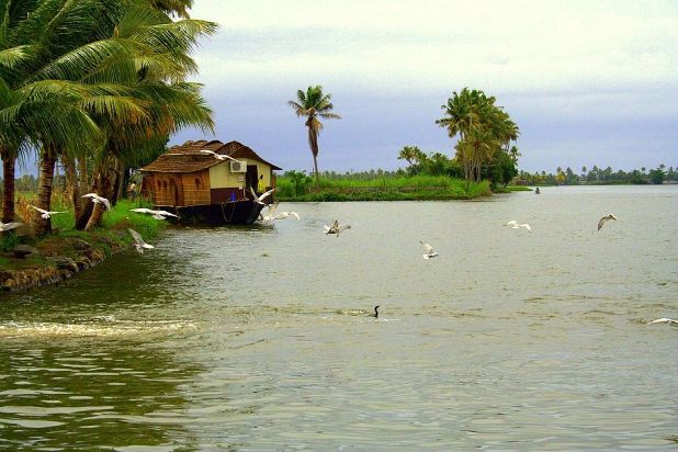 Romancing on Kerala Backwaters