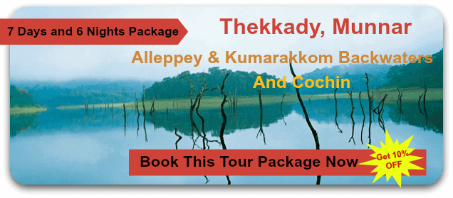 thekkkady-munnar-honeymoon-package