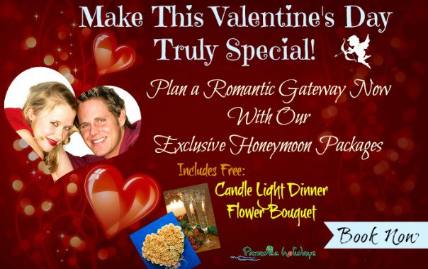 Valentines Day Special Packages to Kerala