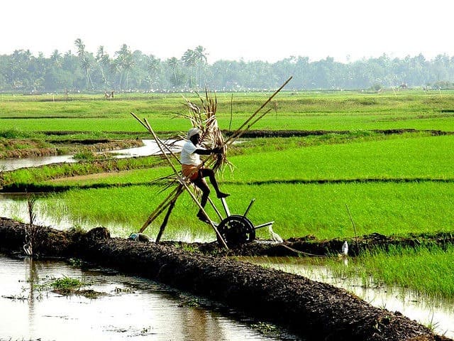 Farmer working on his water wheel