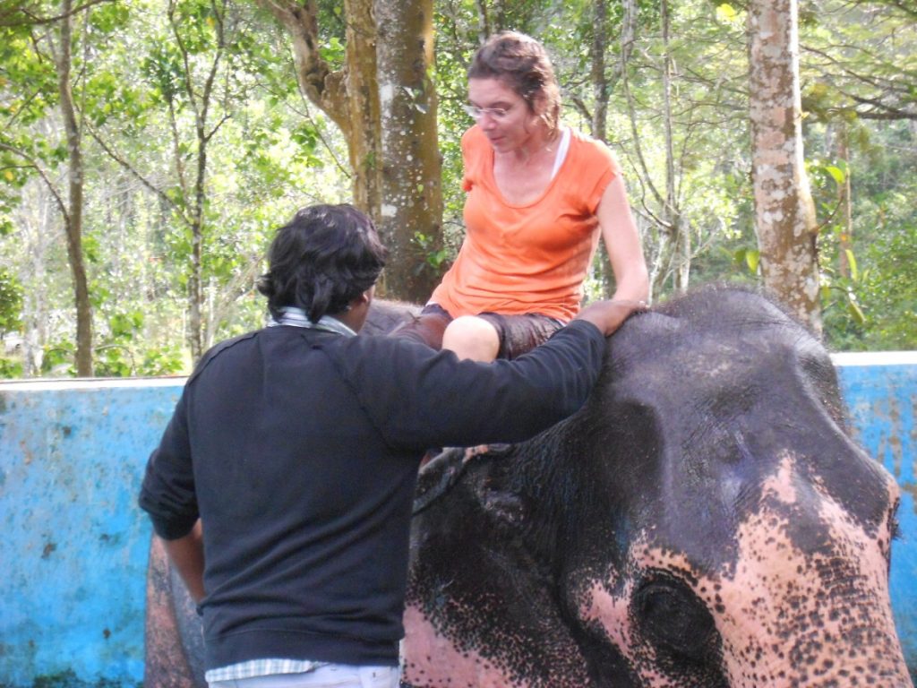 Elephant shower