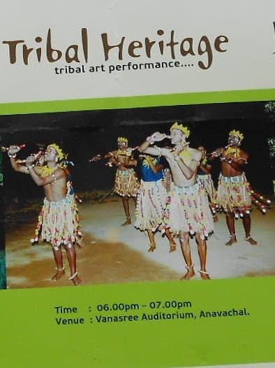 Tribal art performance