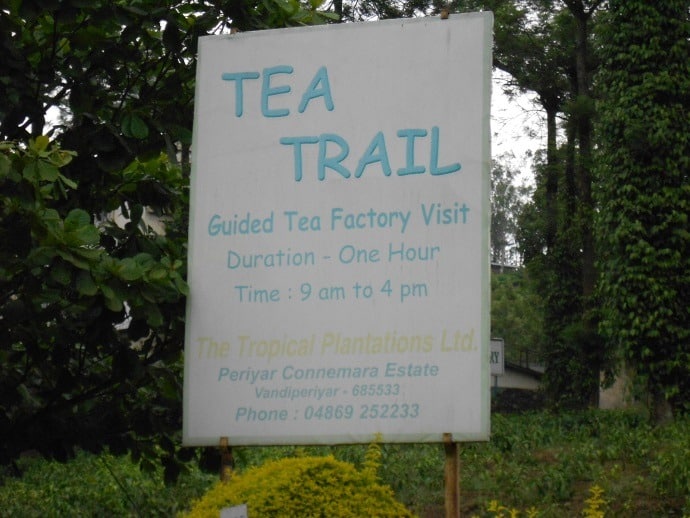 Tea Trail