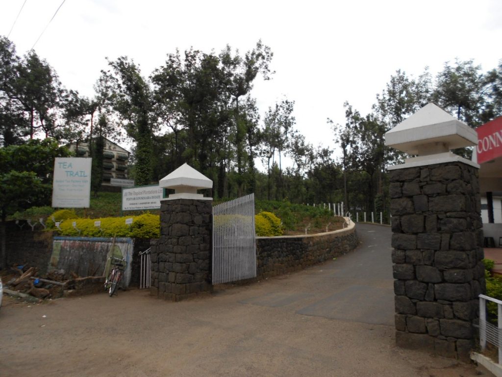 Tea Factory at Thekkady