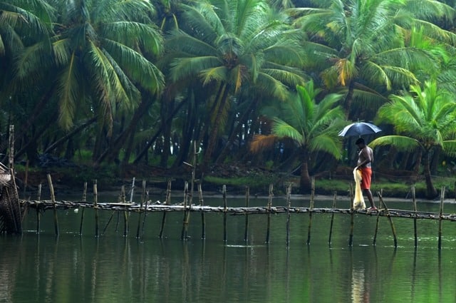 Backwater Kasargod