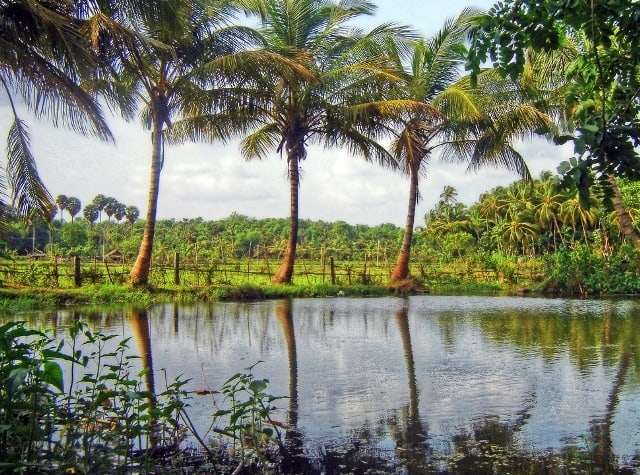 Kerala Village