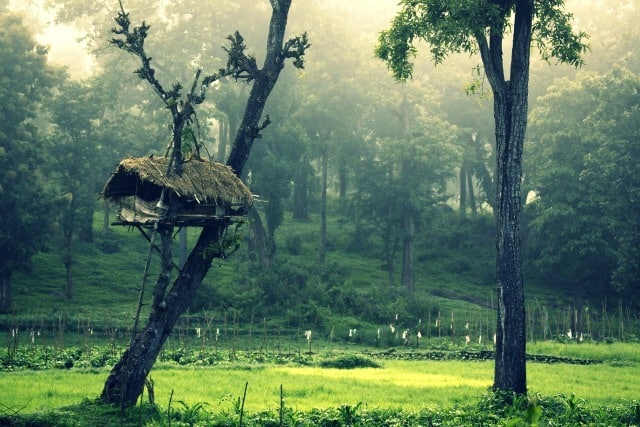 kerala wildlife photography