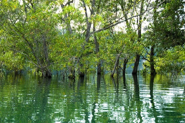 Neyyar Wildlife Sanctuary