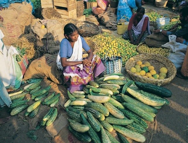 Kerala Market Place