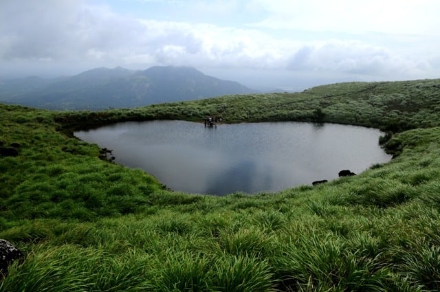 Heart shaped pond on the way to Chembra Peak, Wayanad