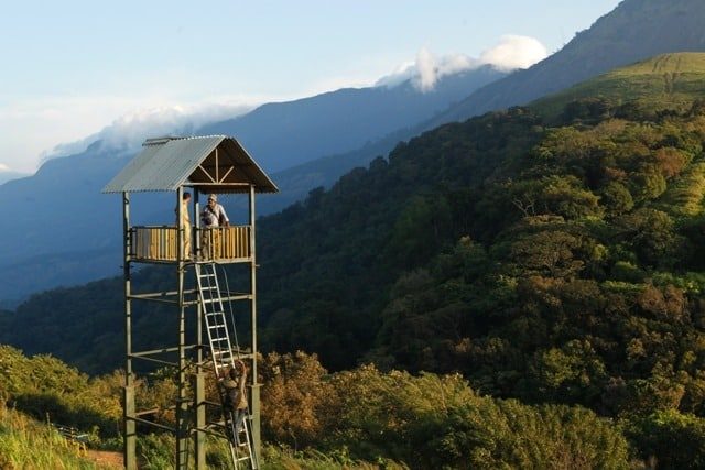Top Tourist Places In Kerala The Ultimate List Paradise