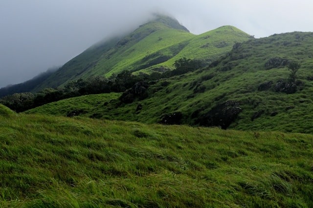 WWayanad