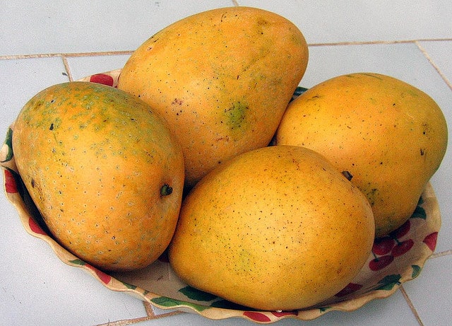 Mangoes in Kerala