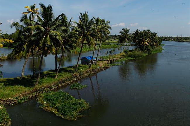 Backwater Kochi