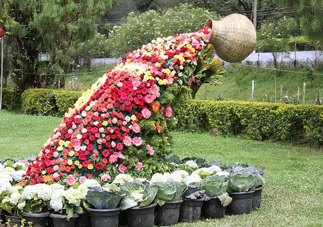 munnar flower show