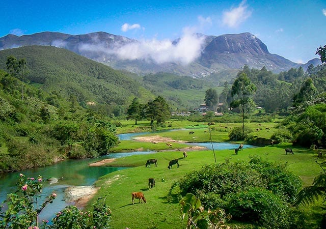 Munnar during the May to June season – A good time