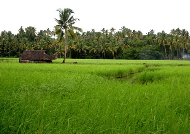 Kerala Village