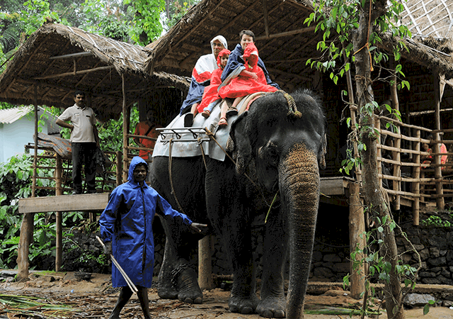 Plantation Tour Idukki