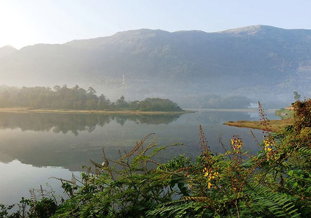 Malankara Dam reservoir