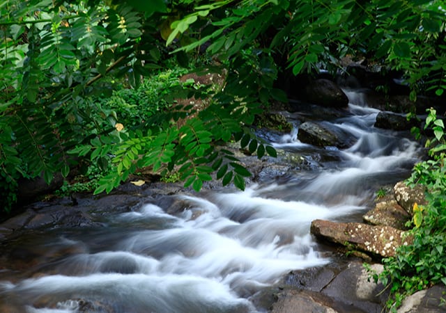 ilaveezhapoonchira