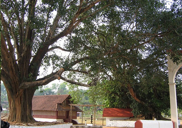 Valliyoorkkavu Temple