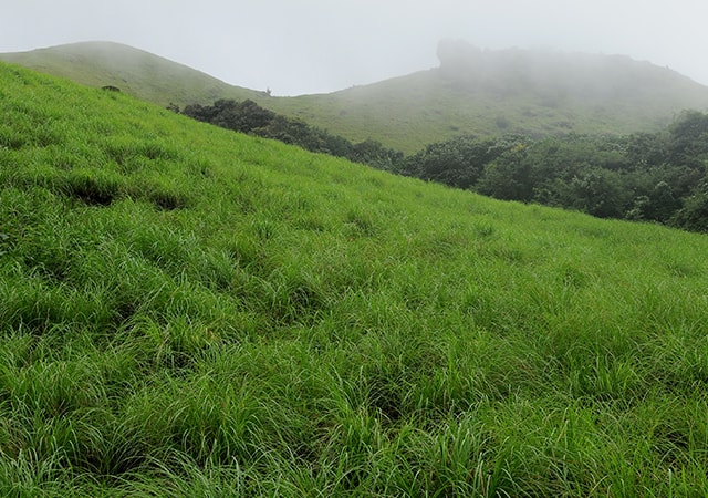 Ranipuram Hills