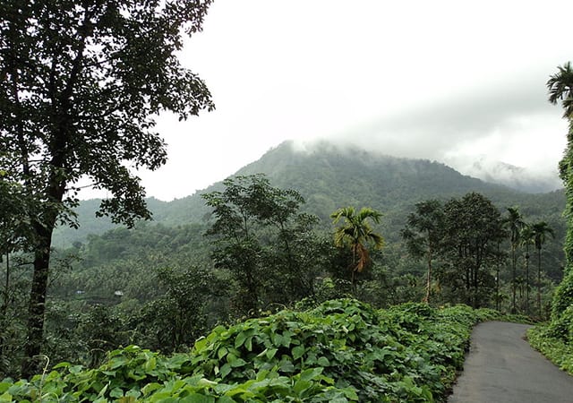 Thusharagiri Waterfall