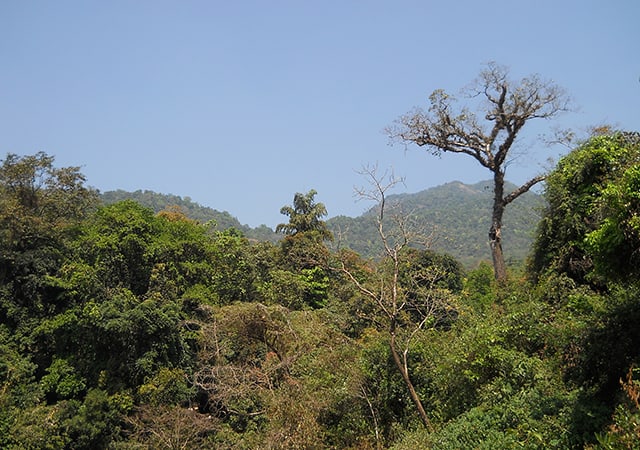 Thusharagiri Waterfall