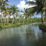 Munroe Island