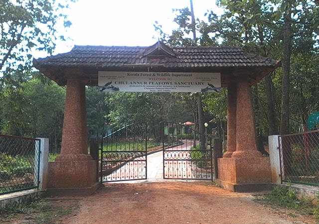 Visit Chulannur Peacock Sanctuary
