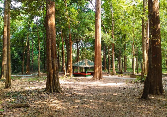 Nilambur Teak Plantation