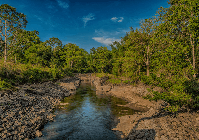  Parambikulam Tiger Reserve