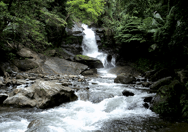 MEENVALLAM-WATER-FALLS