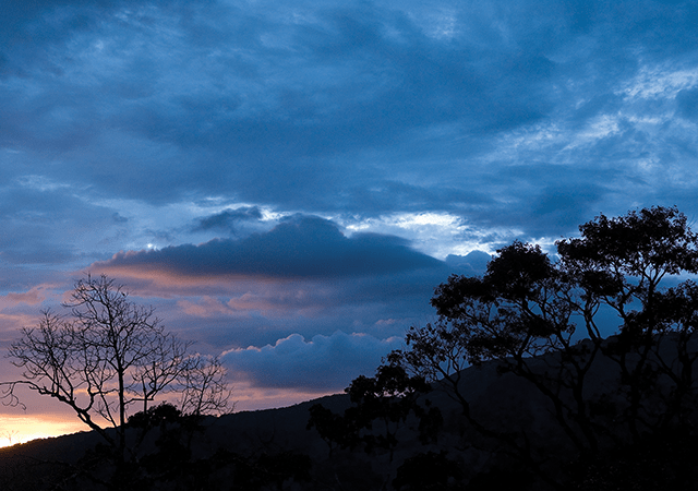 Nelliyampathy-Hills-Palakkad