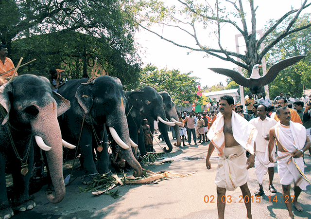 Guruvayoor Aanayottam