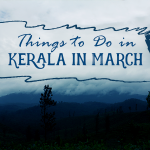 Things to Do in Kerala in March
