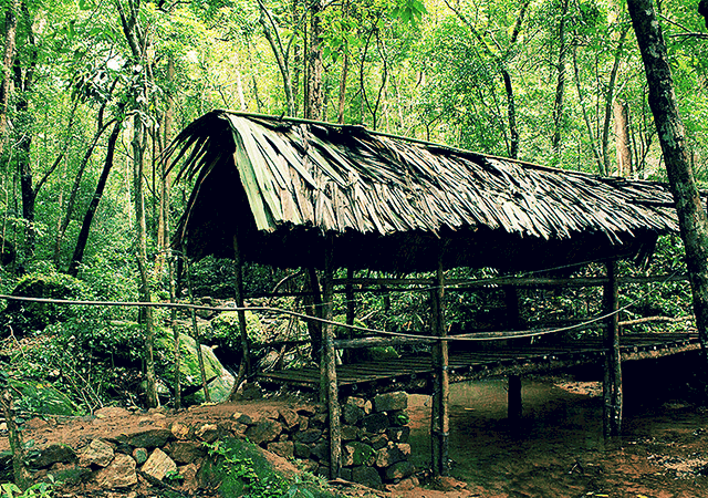 Thommankuthu-Wooden-Bridge