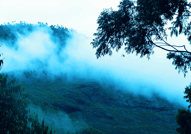 Mist Covered Hill