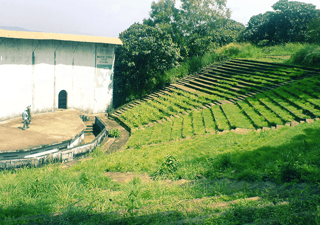 Terraced Slopes in Vilangankunnu
