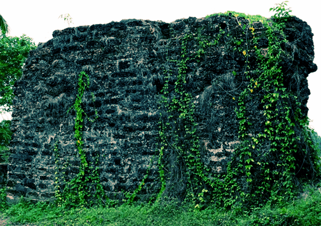 Kottappuram Fort