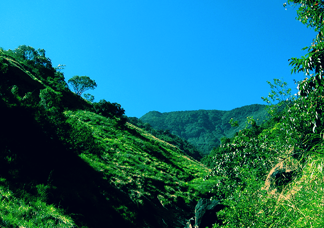 Trekkers Paradise- Vellarimala