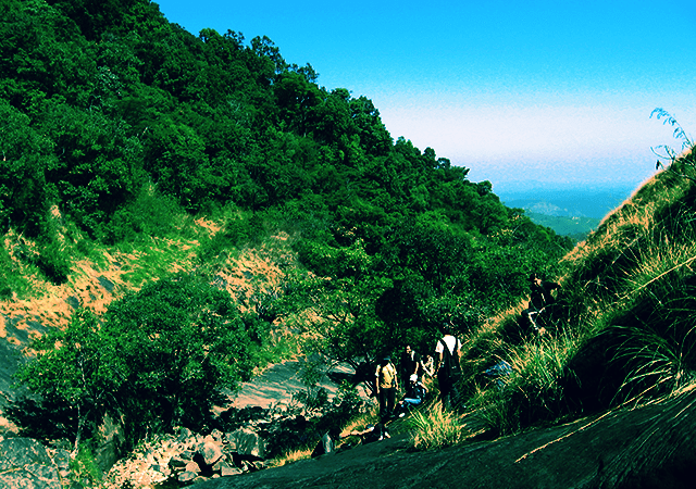 Climbing Vellarimala