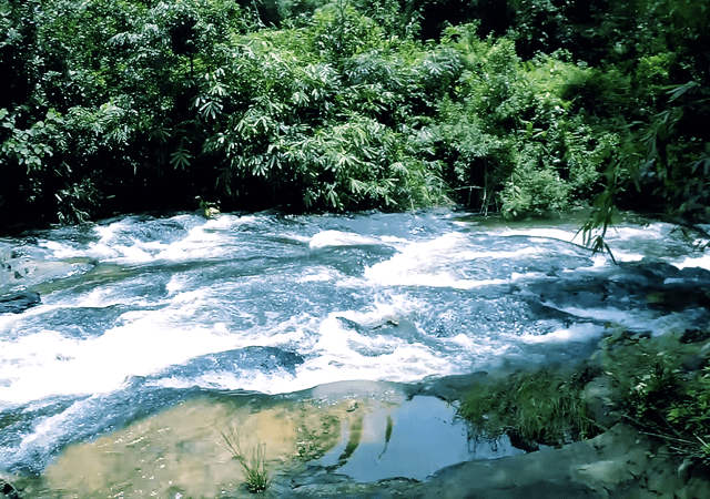 Small River Near Uluppuni