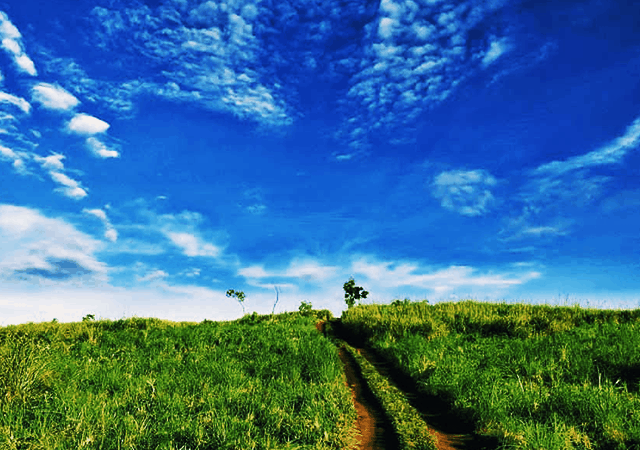 Uluppuni Treking Route