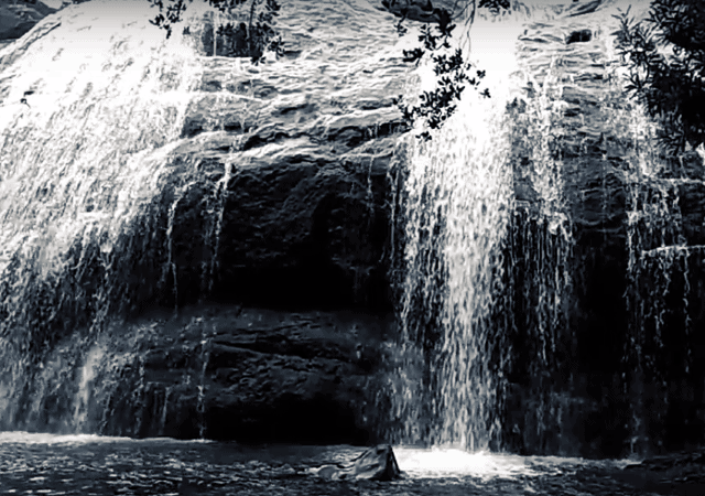 Forceless Anayadikuthu Waterfall