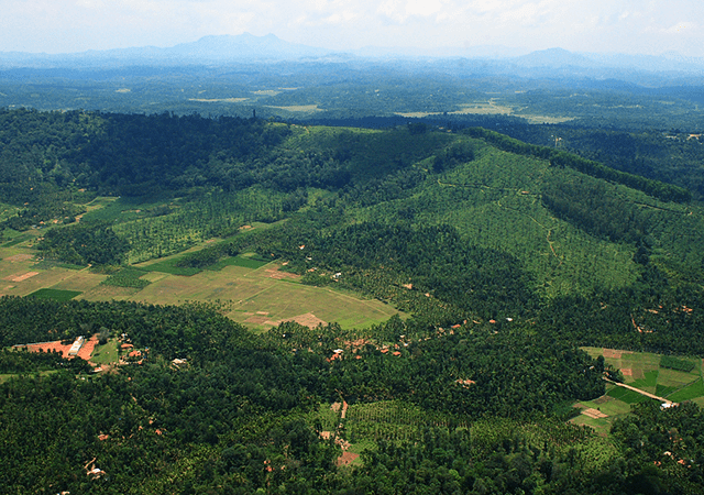 View of the Junction of Kerala